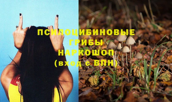 COCAINE Медногорск