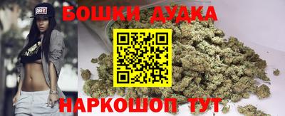 МДПВ Лесосибирск