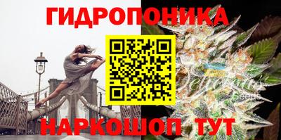 спиды Ливны